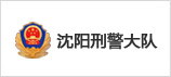 沈陽(yáng)刑警大隊(duì)